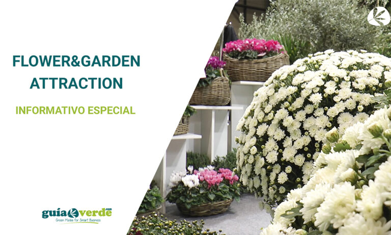 fg-miniatura-webgv_31102019154259
