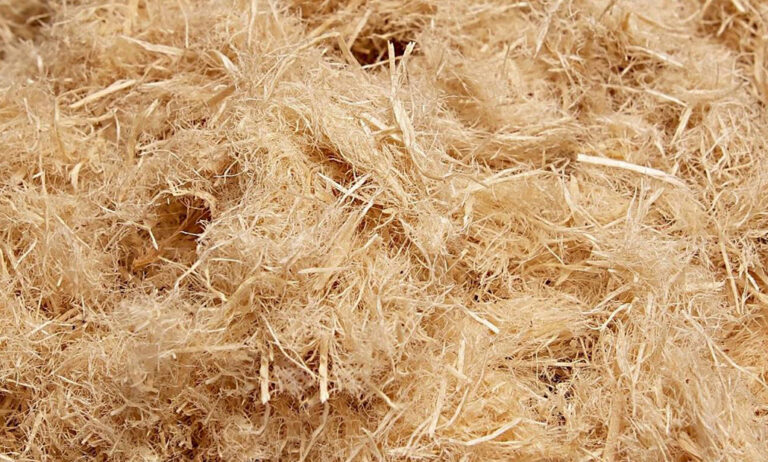 fibra_de_madera_masecor_21102024153724