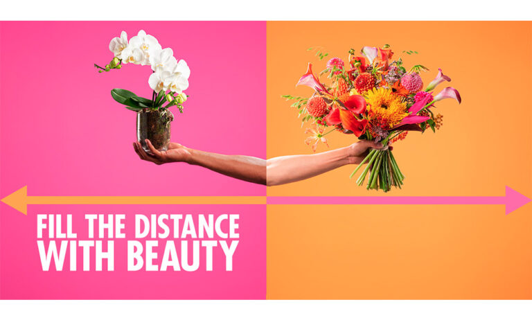 fillthedistance_11122020093837