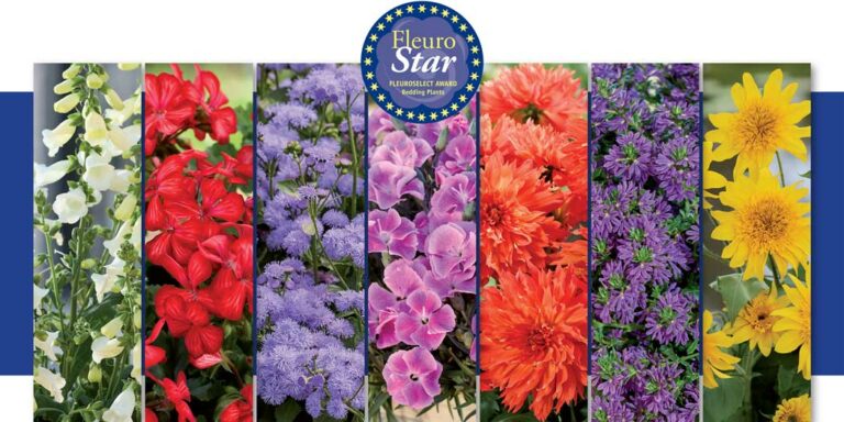 fleurostar2025_cover_28052025100117