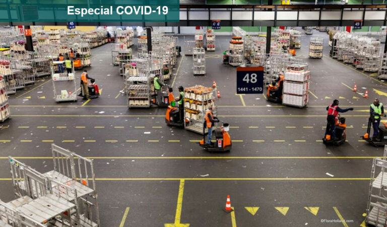 floraholland-covid_20032020120917