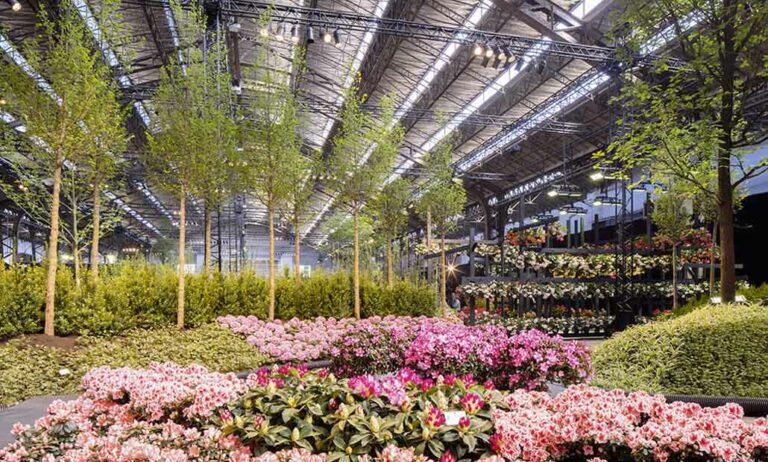 floralien_27042022124518