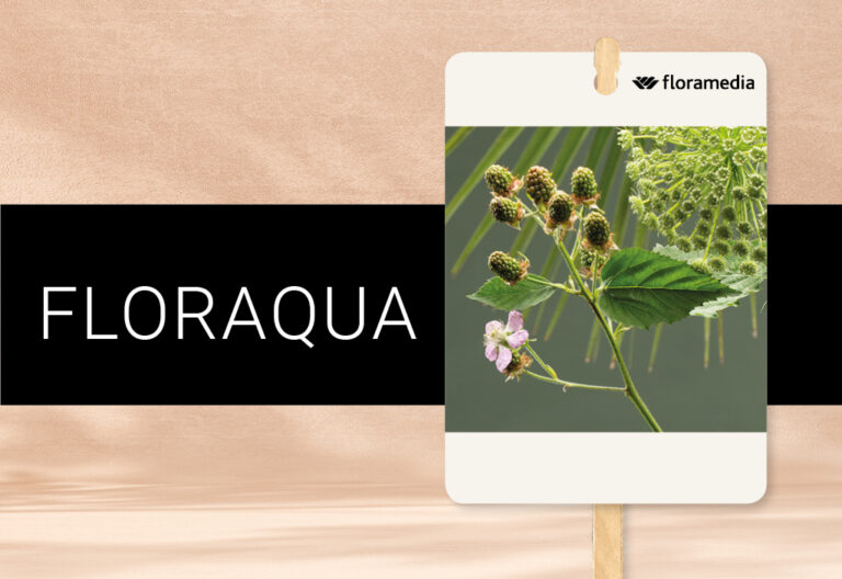 floraqua_24032022093106