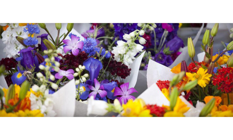flores_25102019093857