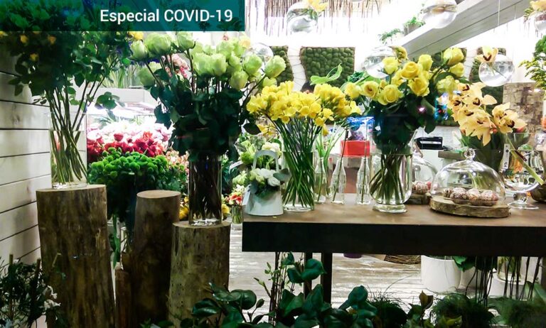 floristerias_09042020153449