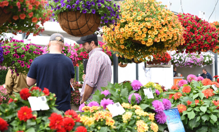 flower_trials_12062019074857