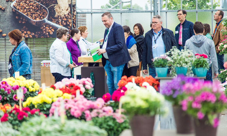 flower_trials_28062019083708