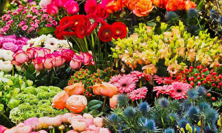 flowerandgarden_16102019135431