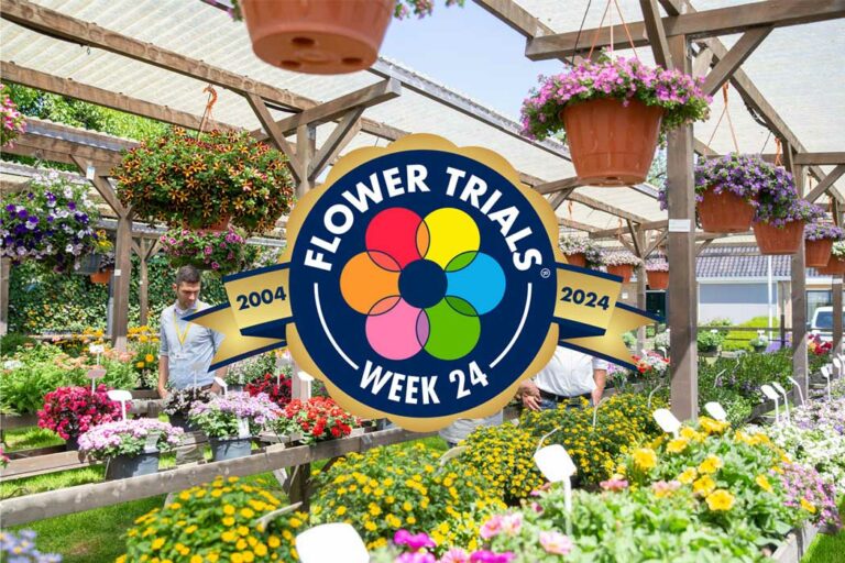 flowertrials_2024_24042024091030