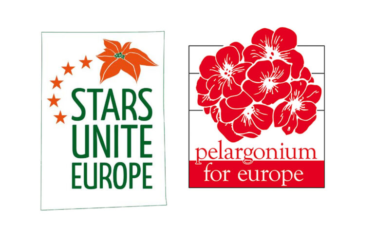 fmstarsforeurope_05062024100257