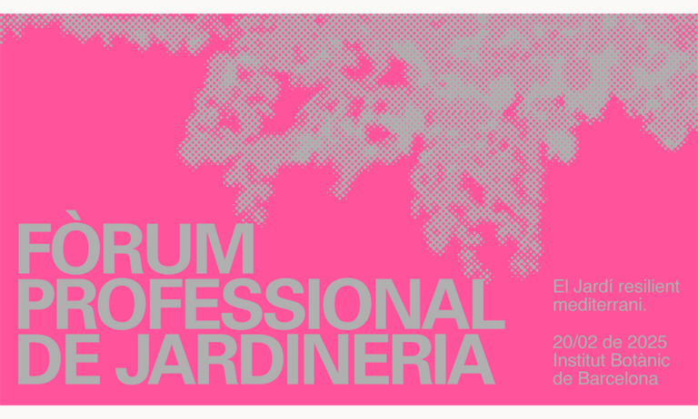 forum_19022025090008
