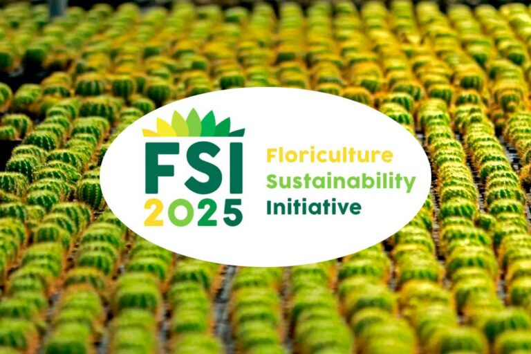 fsi-productores_05082024092032