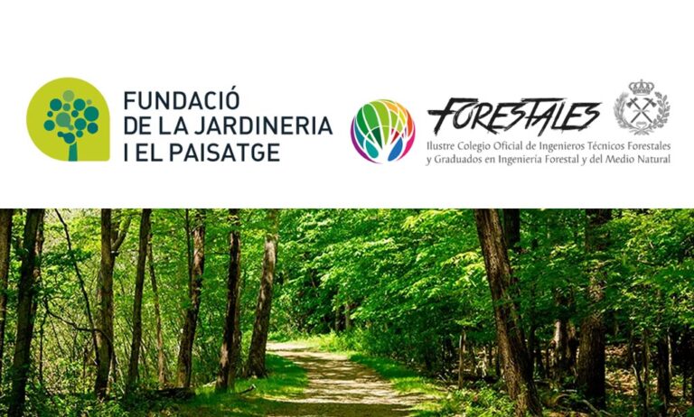 fundacio_jardineria_paisatge_06072021142328