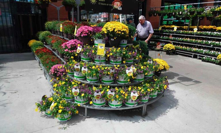 garden_center_12052022104733