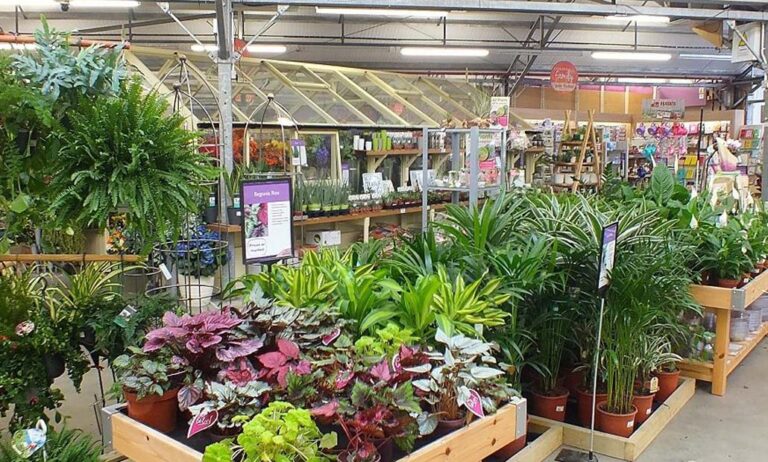 garden_uk_11022022110753