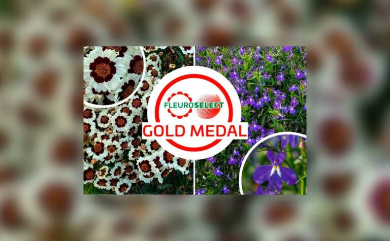 gold-medal_17012024104152