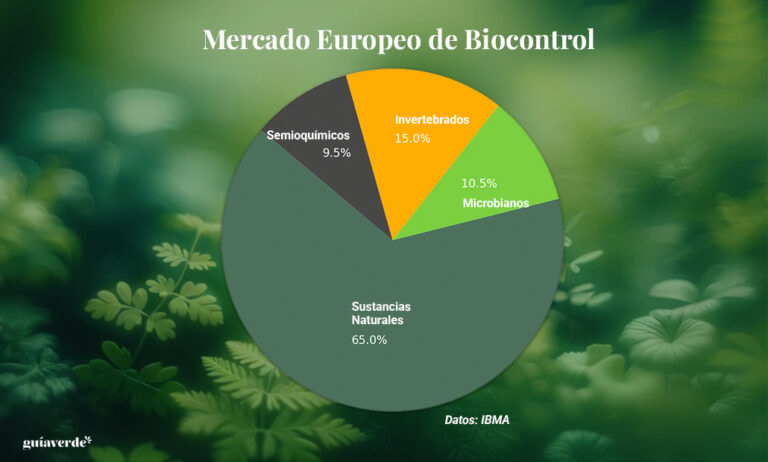 graficaibma_25042024105933