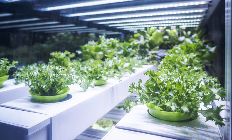 greentech_04052023153716