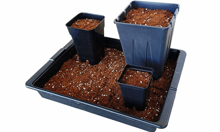 grow_master_murgiplast_-_sustrato_marihuana_14072025094147