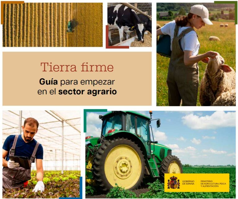 guia-tierra-firme-mapa_07012025091346