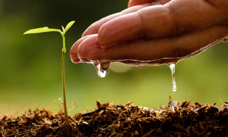 guiaverde_marube_jardineria_sostenible_ecologico_26042022094052