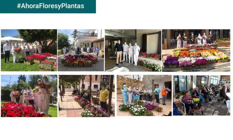 gv-ahorafloresyplantas-accion-icl_06052020144726