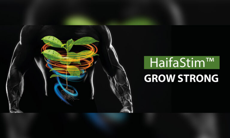 haifa_stim_21012021105331