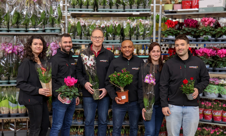 hamiplant_24032025162018
