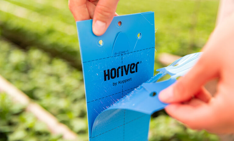 horiver_09012024081504