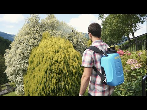 hqdefault