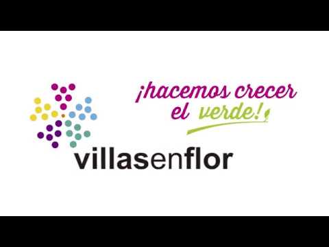 hqdefault
