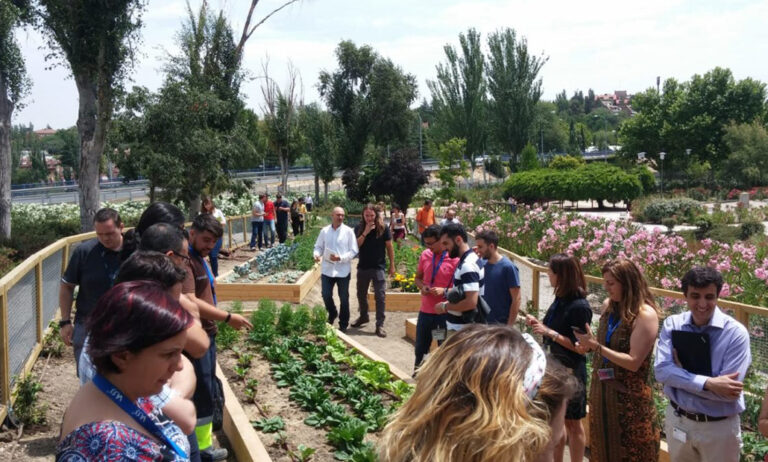 huerto_ecologico_urbano_de_vass_01072019100752