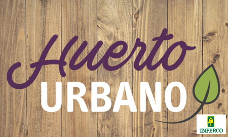 huerto_urbano_inferco_16032021180025