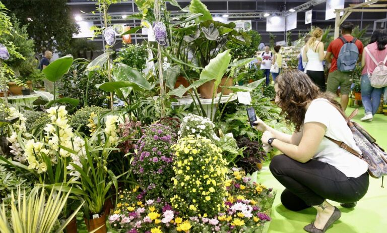 iberflora2021_14072021093311