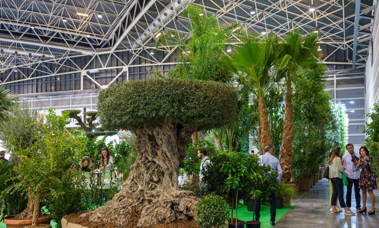 iberflora_02102023073043