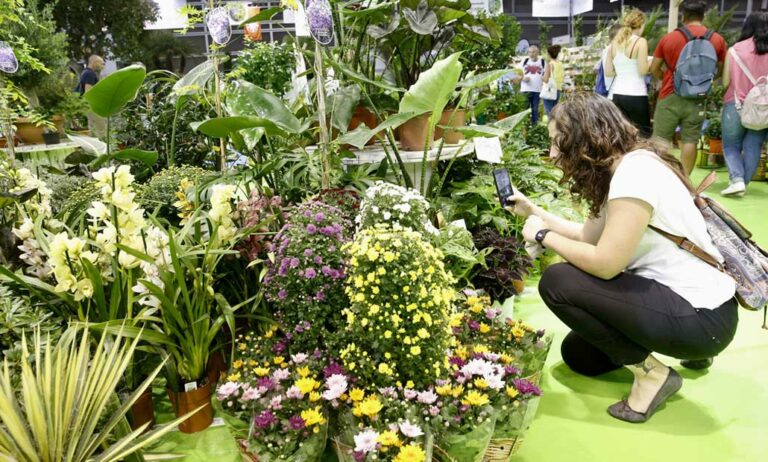 iberflora_04102021165621