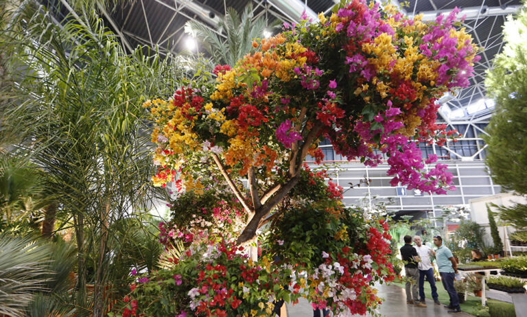 iberflora_2019_28062019111510
