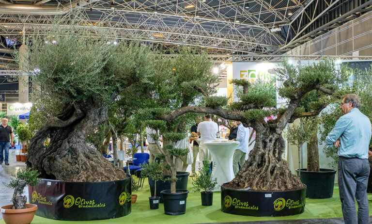 iberflora_andalucia_04092023115013
