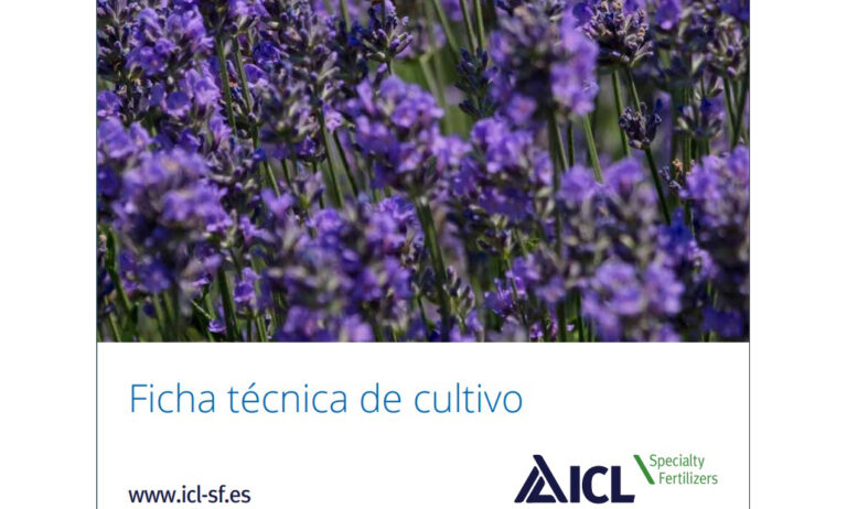 icl-catalogo-lavandula_14022020122837