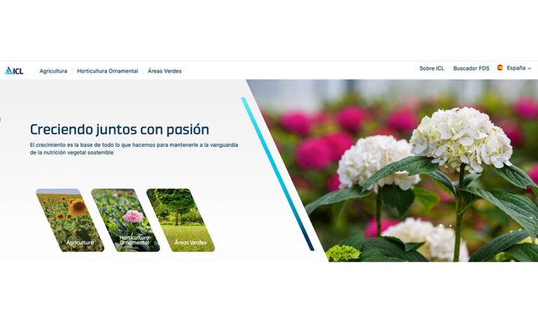 icl_26102023134145