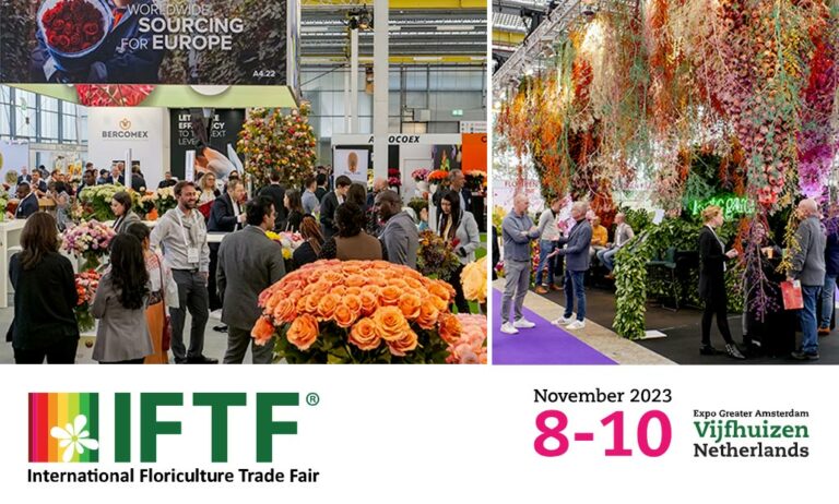 iftf_07112023133315