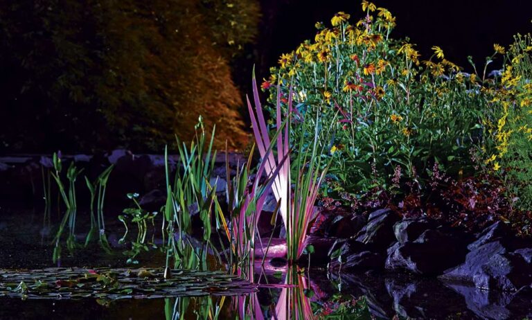 iluminacionjardin_18092020111607