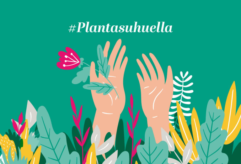 imagen-plantasuhuella_16062020105901