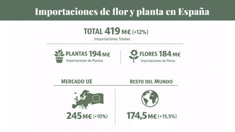 importaciones-plantasyflores