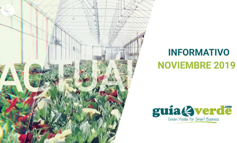 informativo-noviembre-noticia-dentro_28112019104850