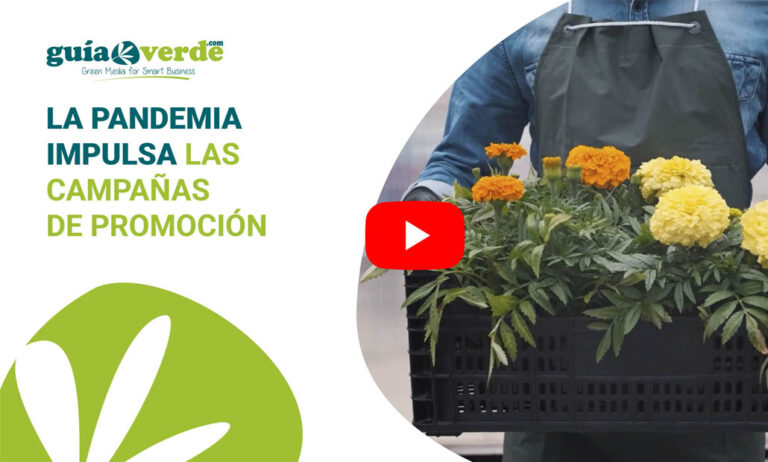 informativogv_13012021100022