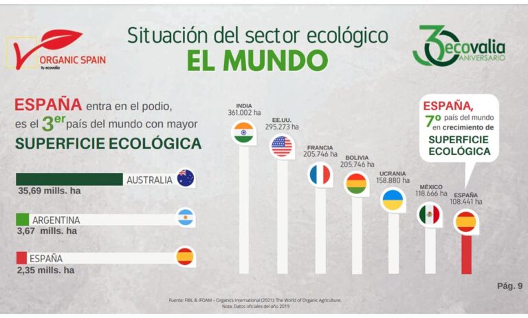 informe_ecovalia_05032021101400