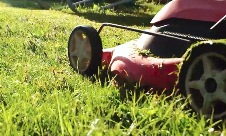 instrusismojardineriaespana_24032022121732