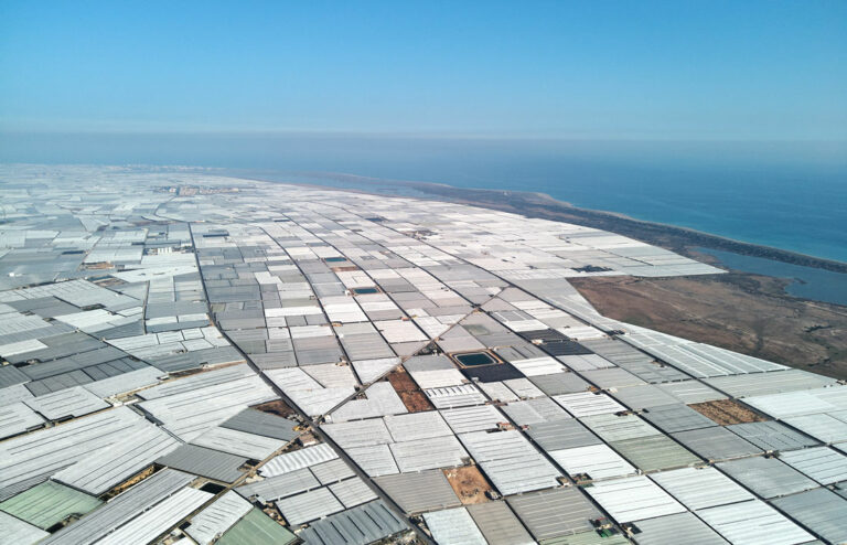 invernaderos-almeria_06092022170152