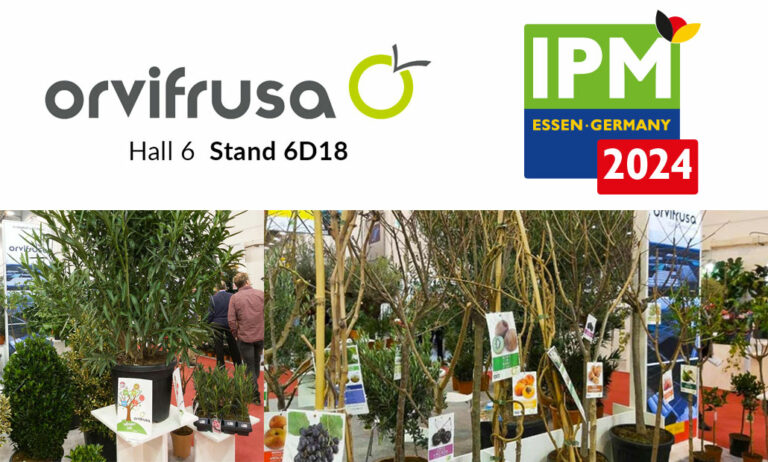ipm_orvifrusa_15012024095221